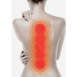 INDIBA ESPALDA - Imagen 1